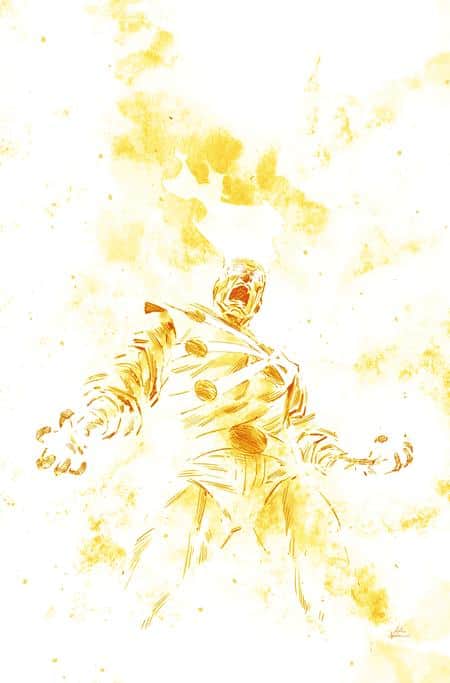FURY OF FIRESTORM Cover