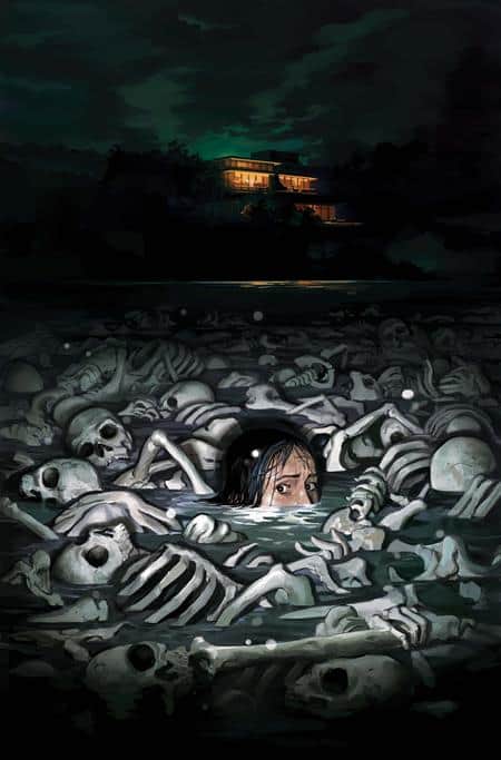 NICE HOUSE ON THE LAKE Cover