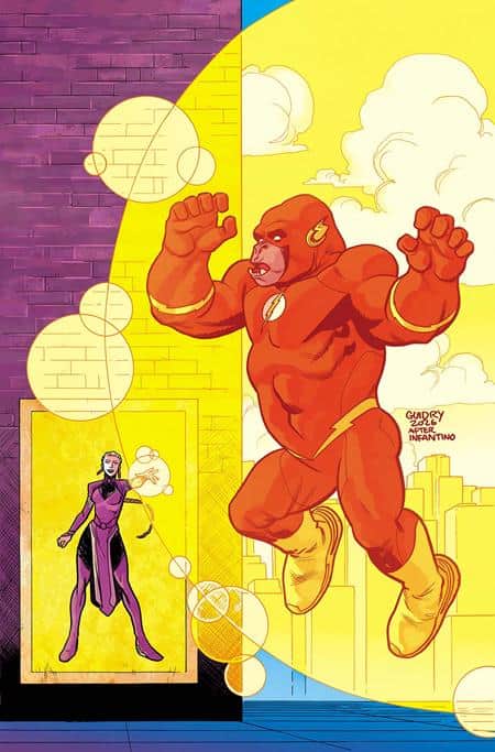 FLASH Cover