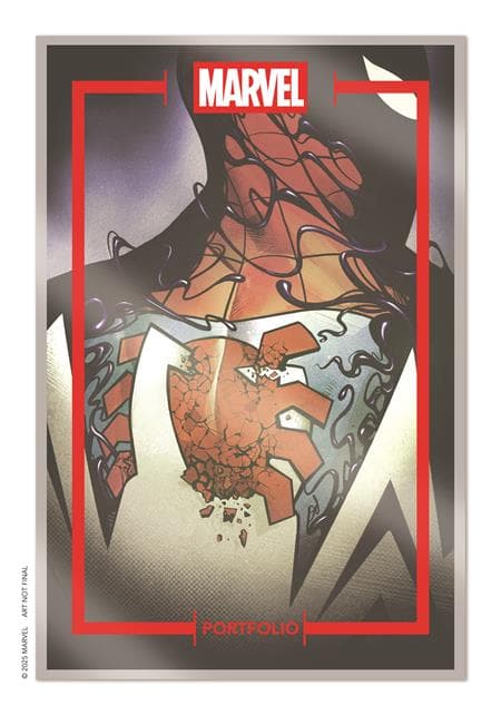 Cover for MARVEL PORTFOLIO OF MIKE DEL MUNDO SPIDER-MAN 9 PRINT SET