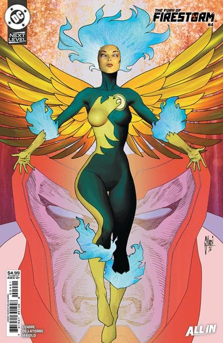 Cover for Fury of Firestorm