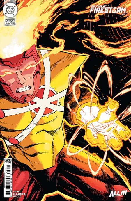 Cover für Fury of Firestorm