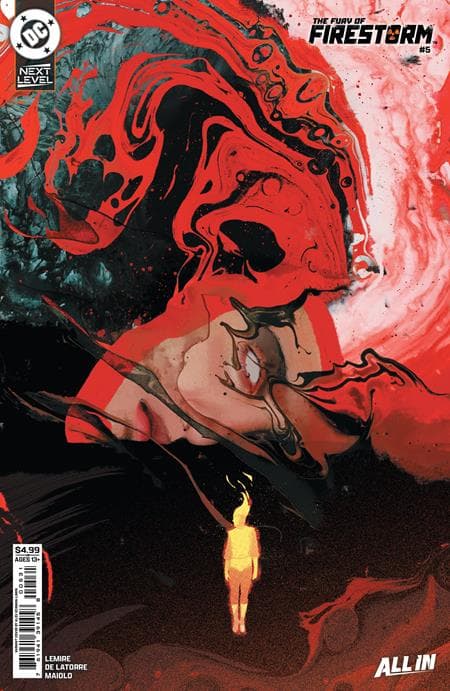 Cover für FURY OF FIRESTORM