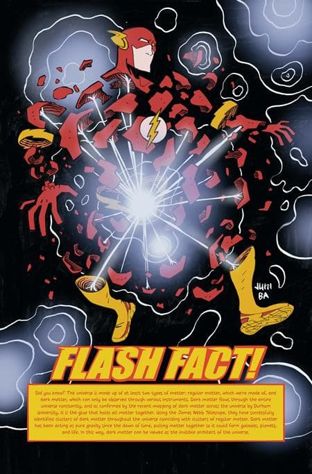 Cover for FLASH