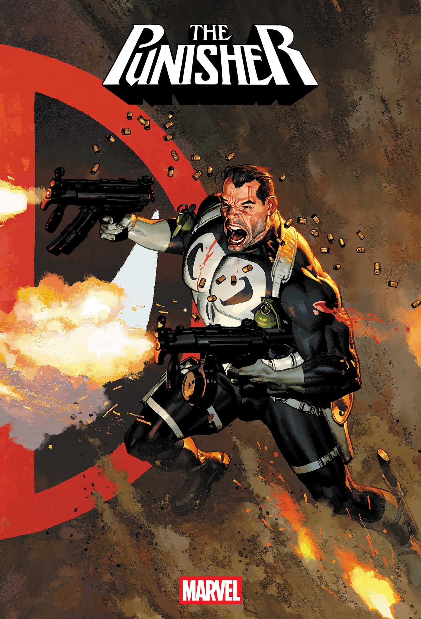 Cover for PUNISHER