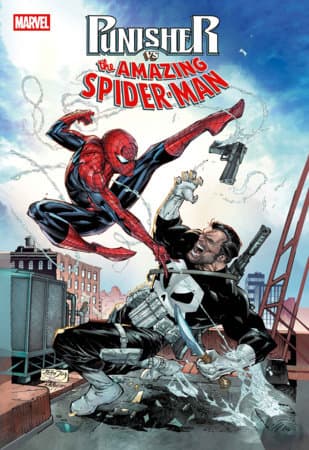 Cover für PUNISHER VS. SPIDER-MAN