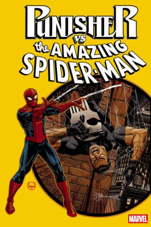 Cover für PUNISHER VS. SPIDER-MAN
