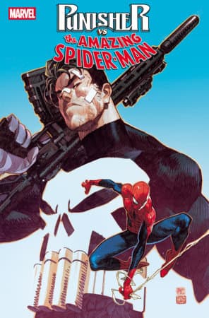 Cover für PUNISHER VS. SPIDER-MAN