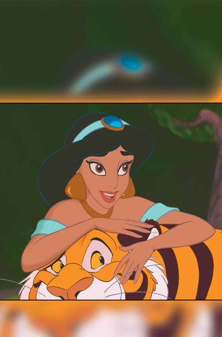 Cover für ALADDIN