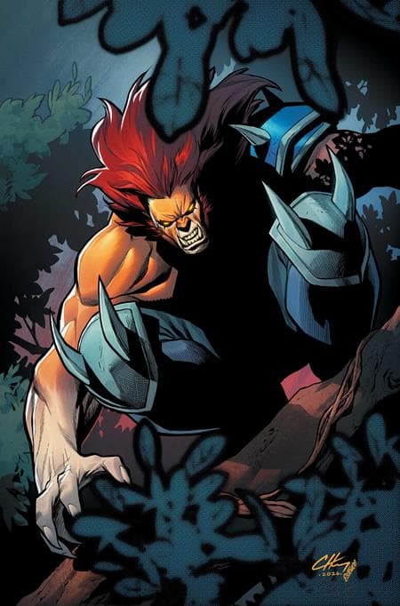 Cover for THUNDERCATS