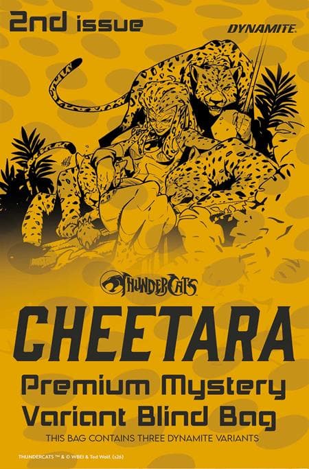 Cover for THUNDERCATS CHEETARA
