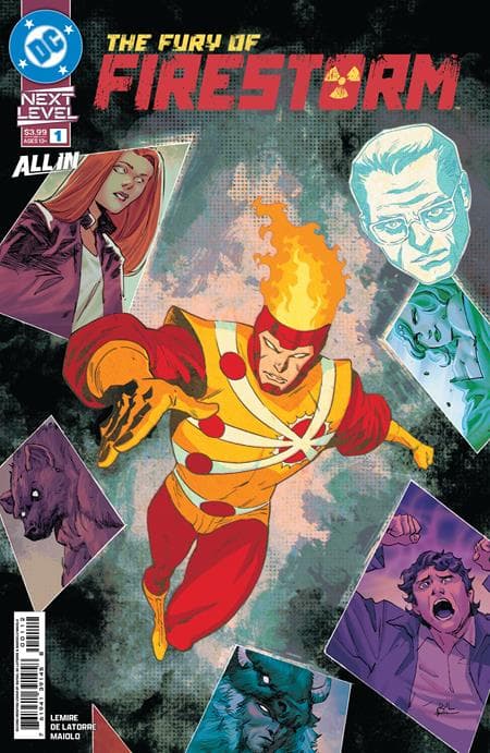 Cover for Fury of Firestorm