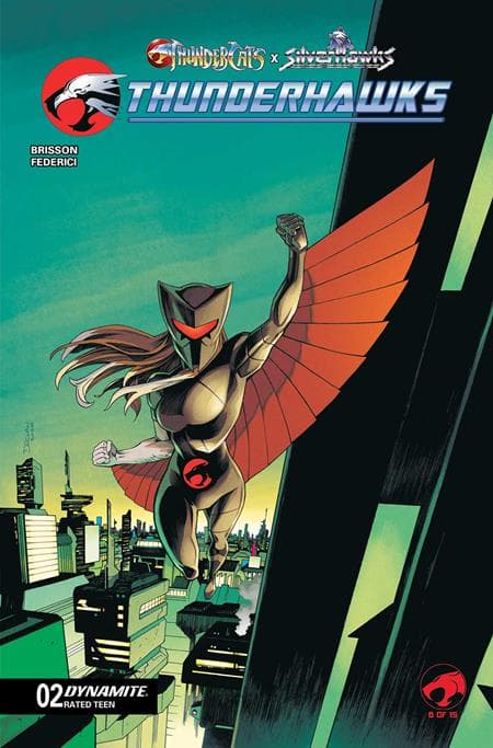 Cover for Thundercats X Silverhawks: Thunderhawks