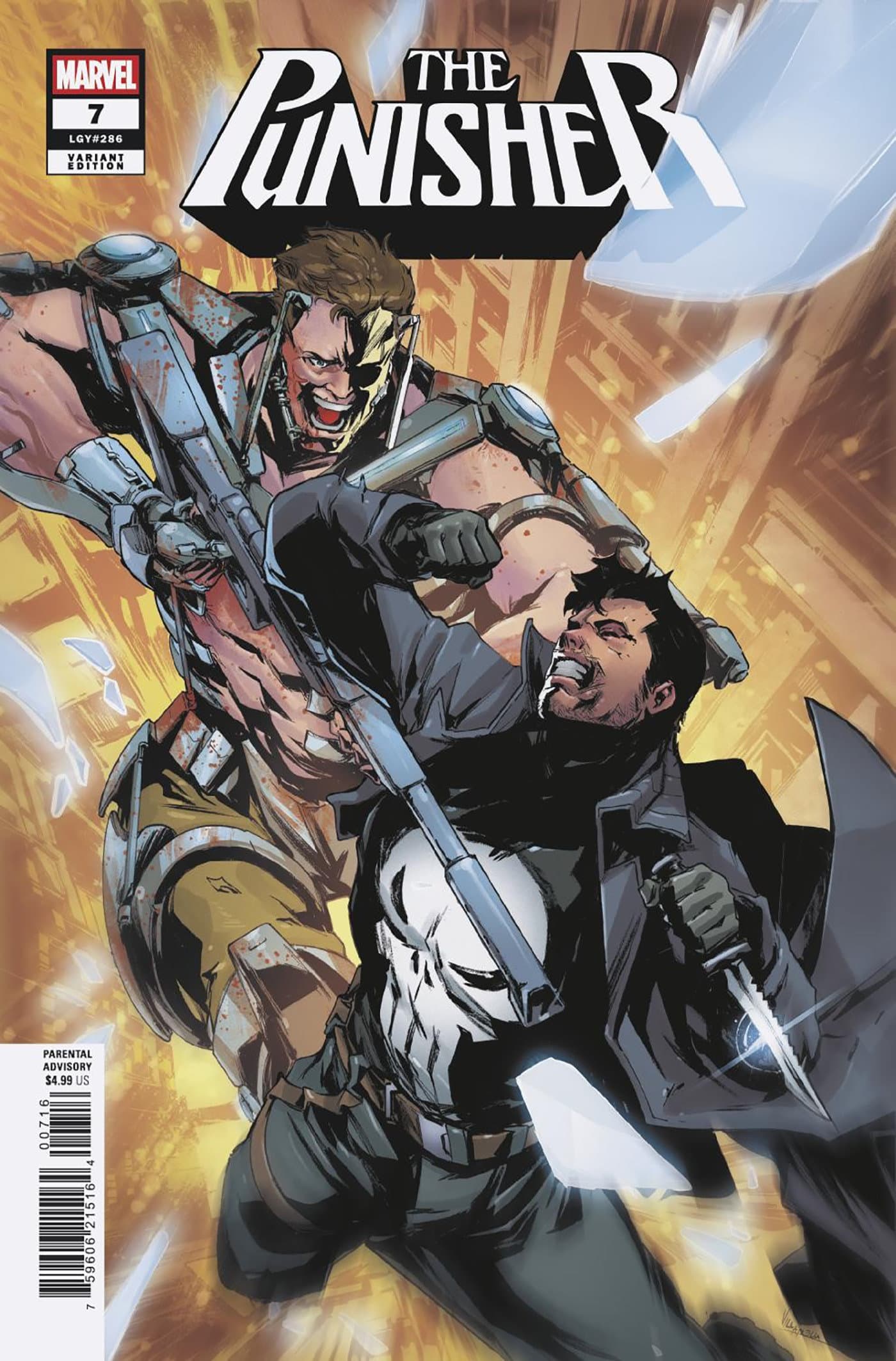 Cover for PUNISHER
