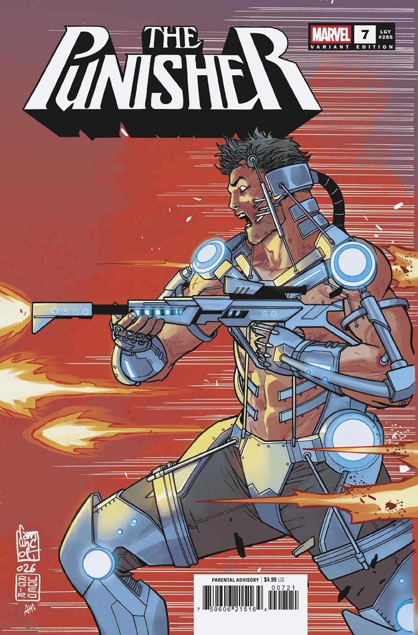 Cover for PUNISHER