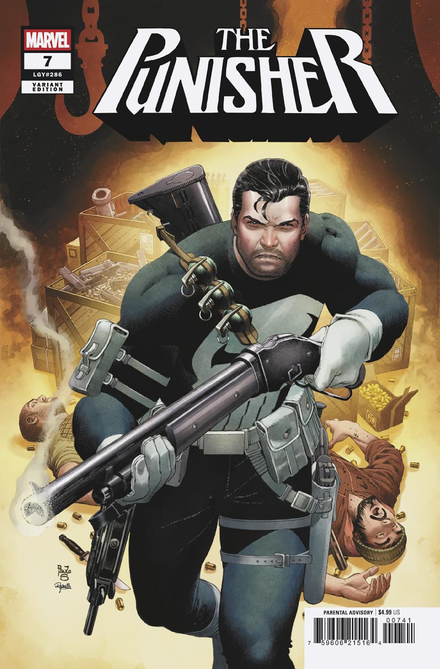 Cover for PUNISHER