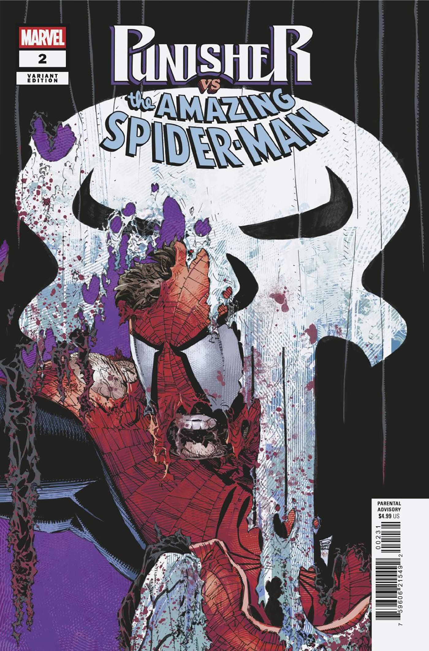 Cover für PUNISHER VS. SPIDER-MAN