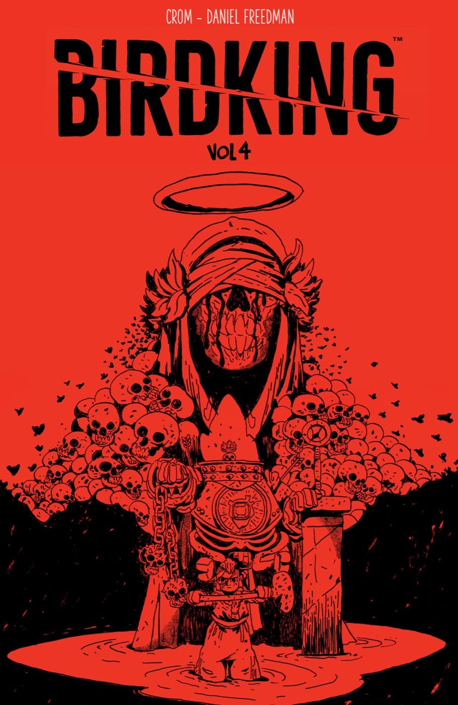 Cover für Birdking