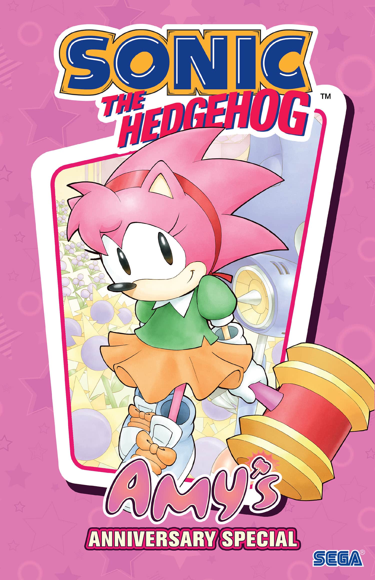 Sonic the Hedgehog: Amy's Anniversary Special Cover