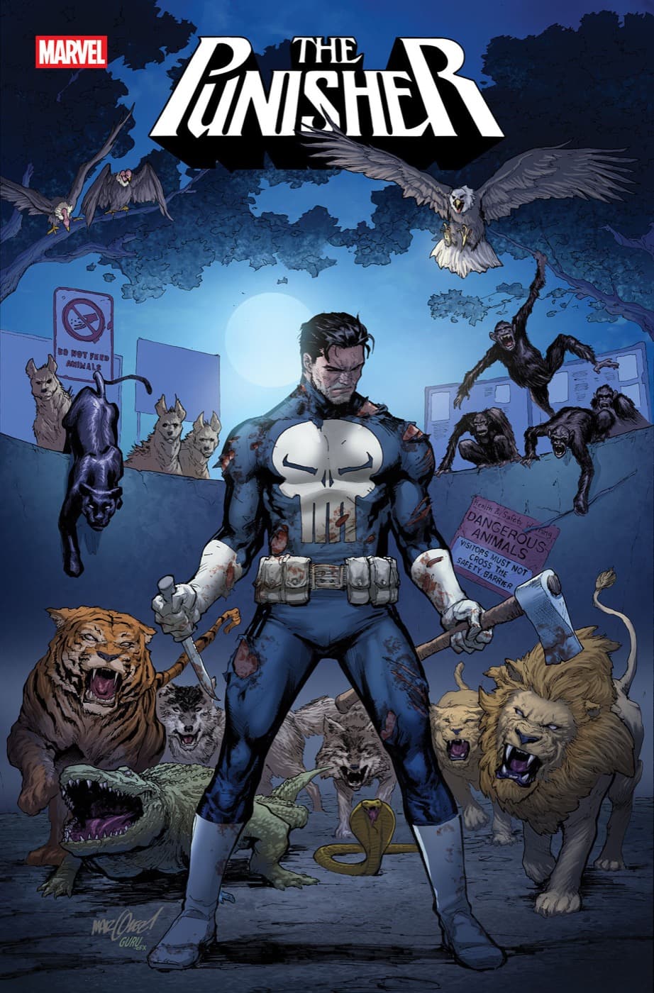 Cover for PUNISHER
