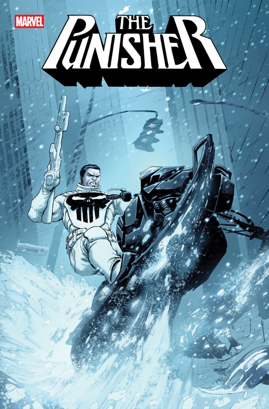 Cover for PUNISHER