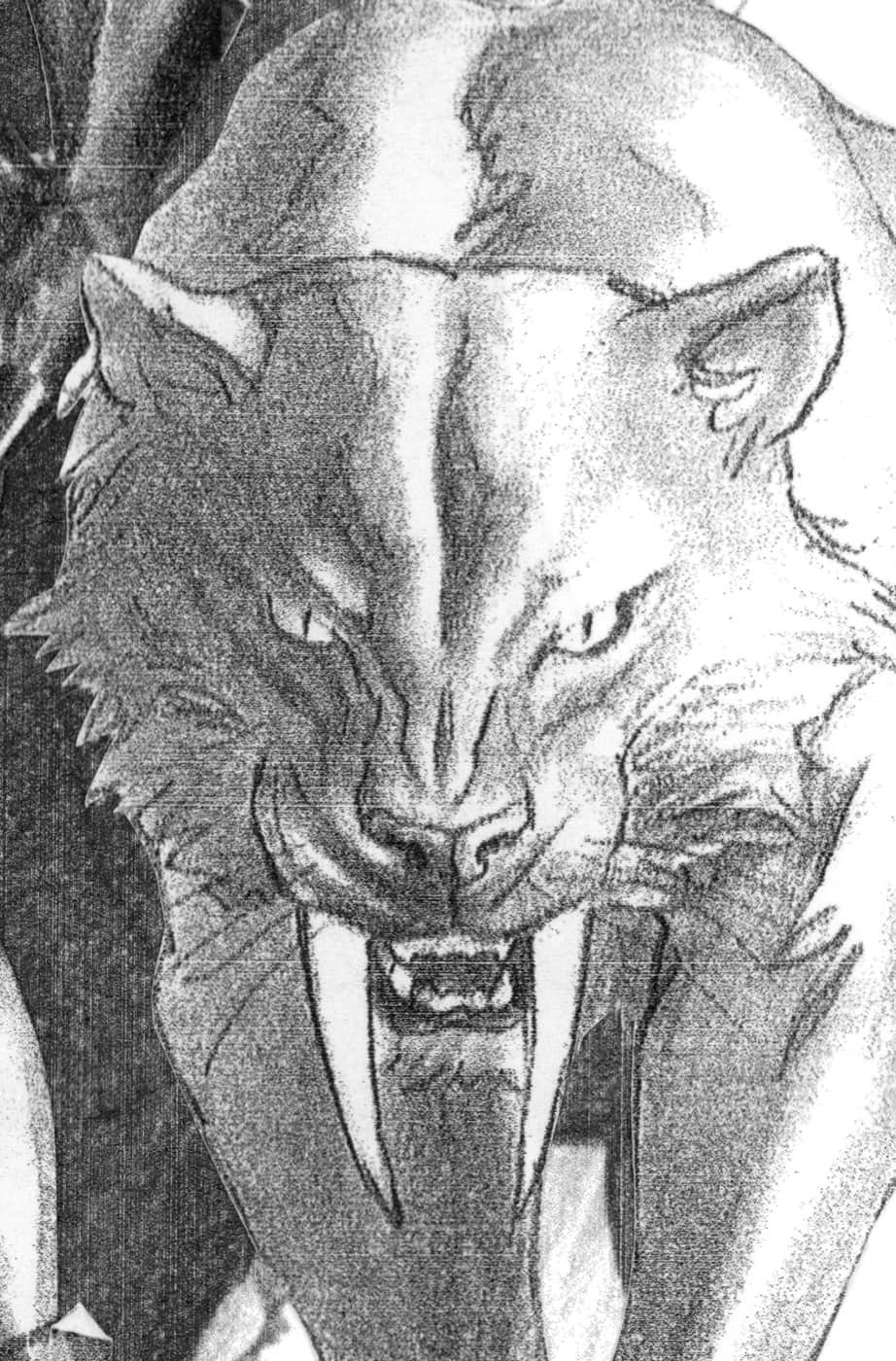 ALEX ROSS TIMELESS VIRGIN SKETCH VARIANT