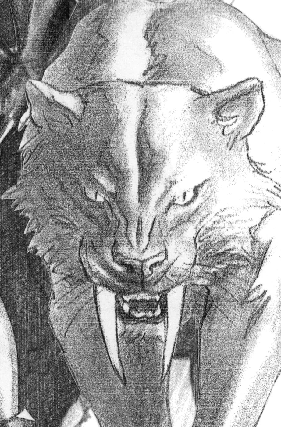 Cover for BLACK CAT