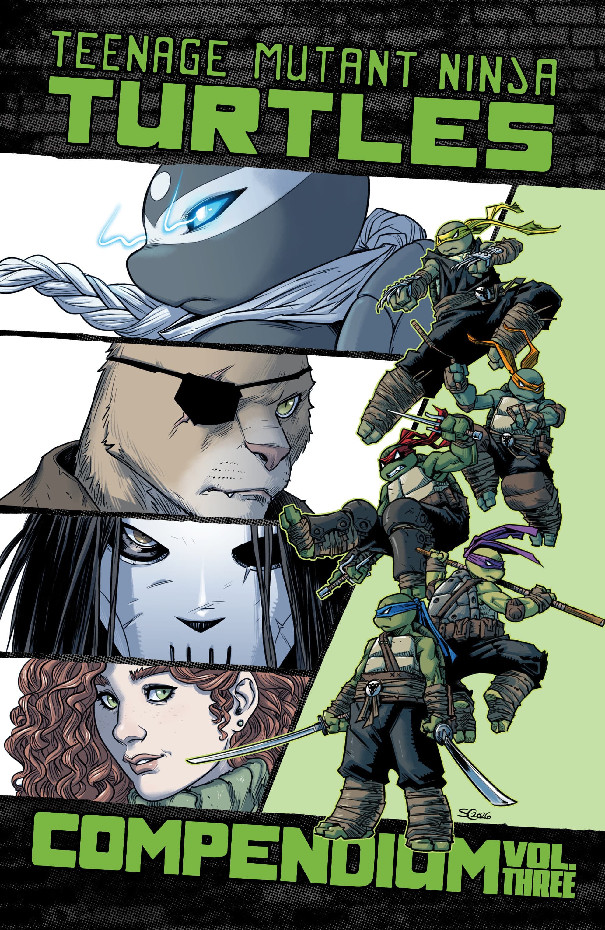 Cover für Teenage Mutant Ninja Turtles: Ongoing Compendium, Vol. 3