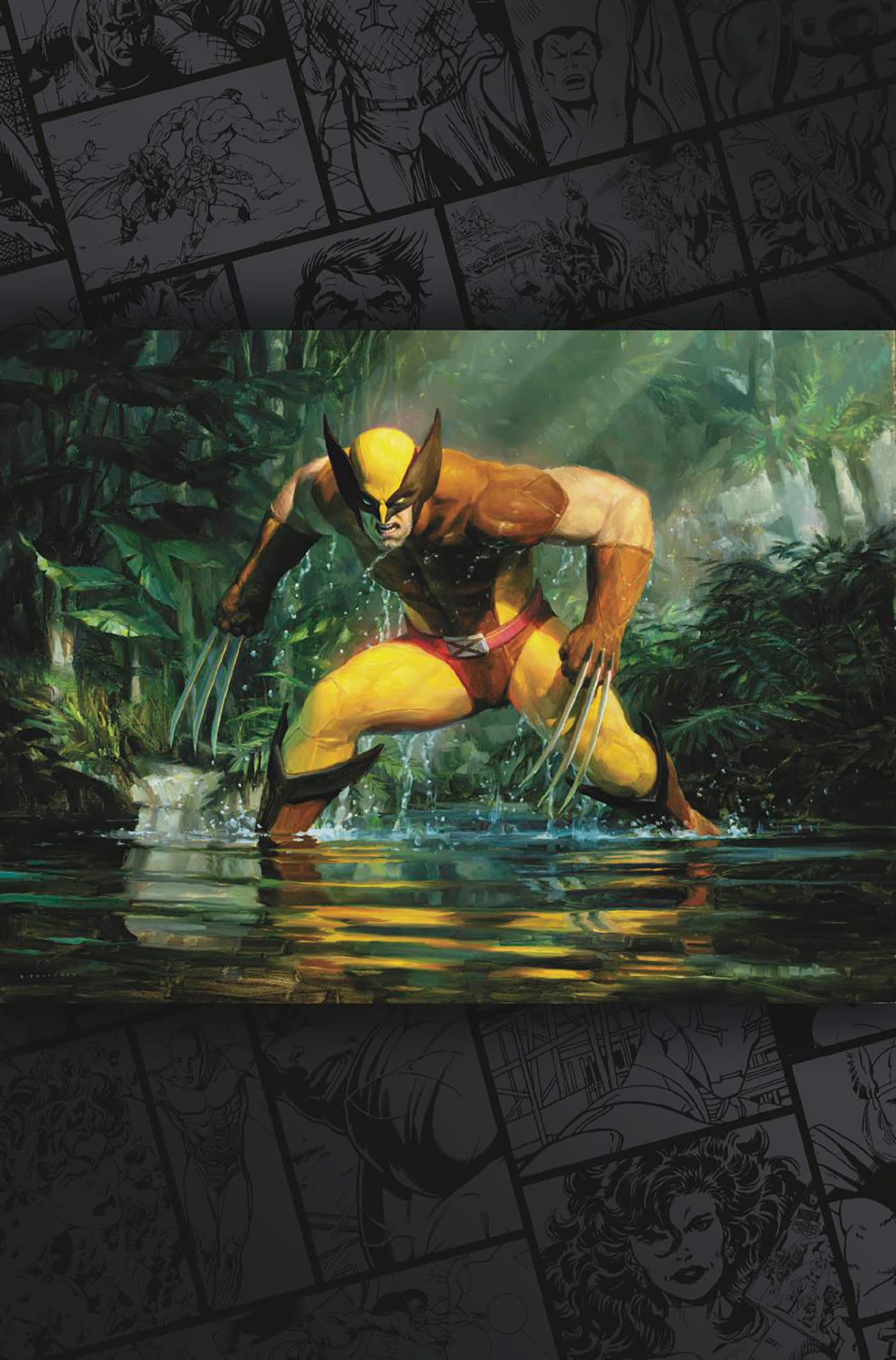 Cover for WOLVERINE