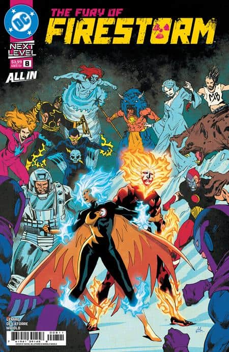 FURY OF FIRESTORM Cover