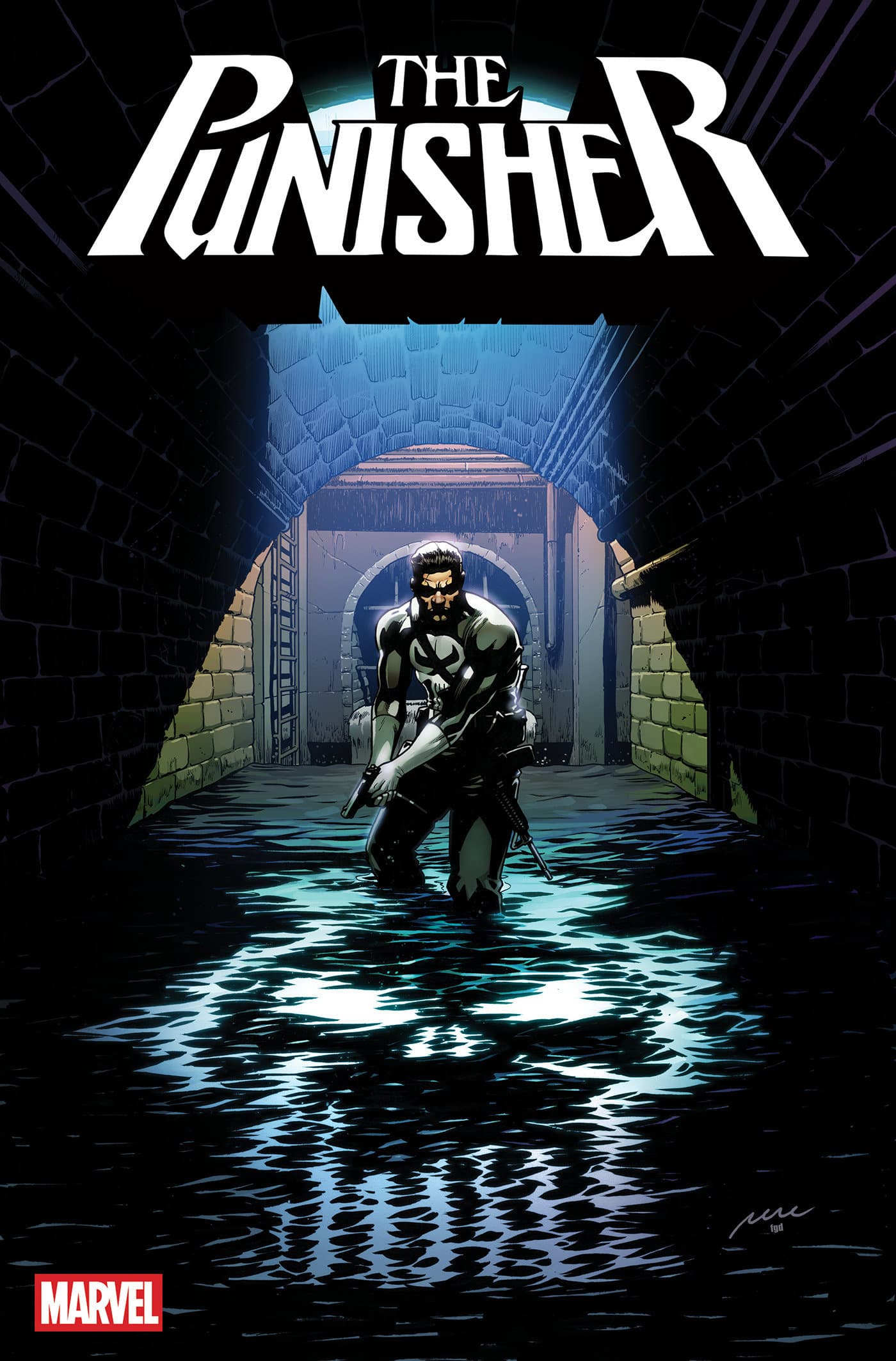 Cover for PUNISHER