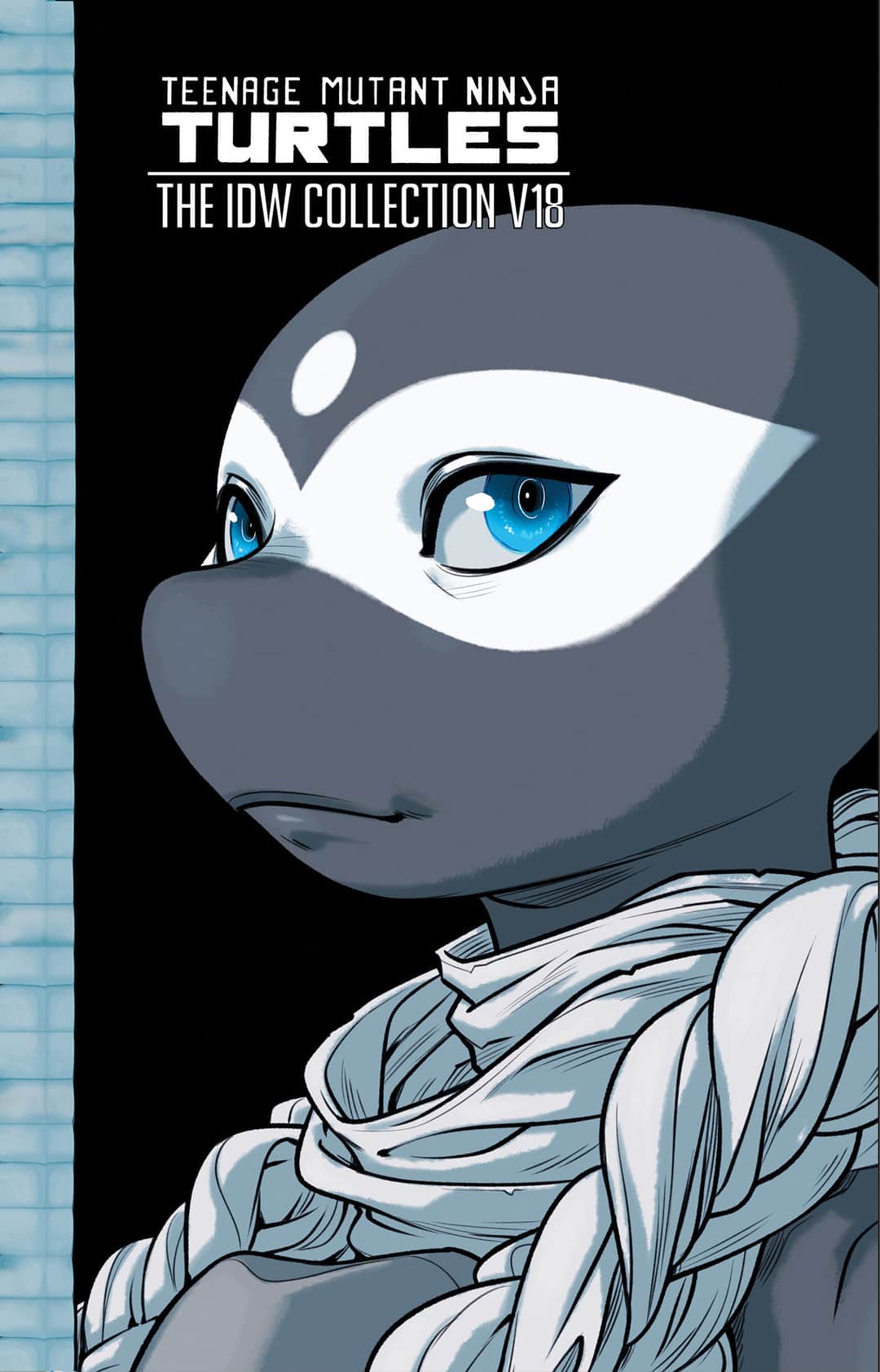 TMNT IDW Collection Cover