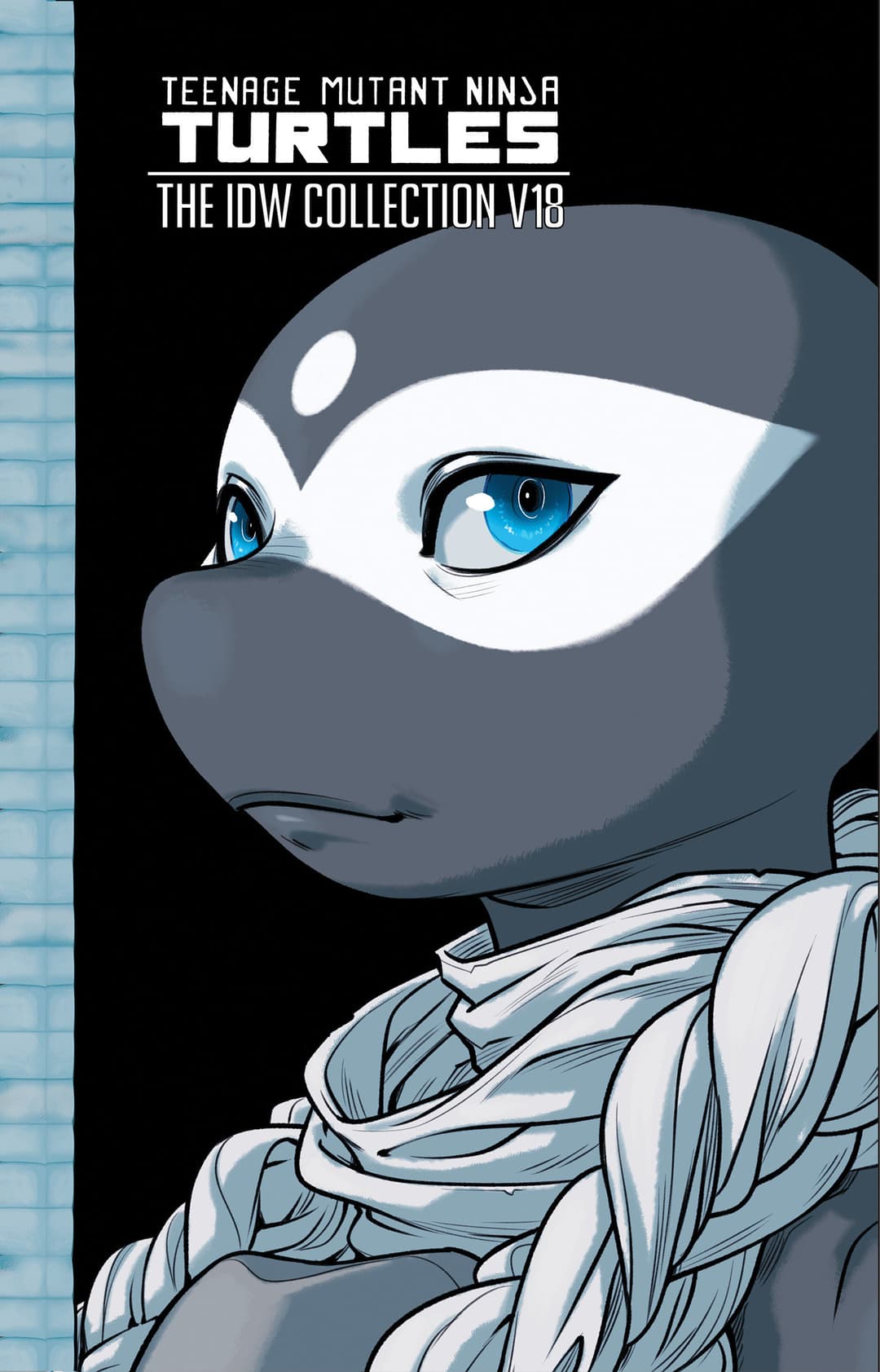 Cover für TMNT IDW Collection
