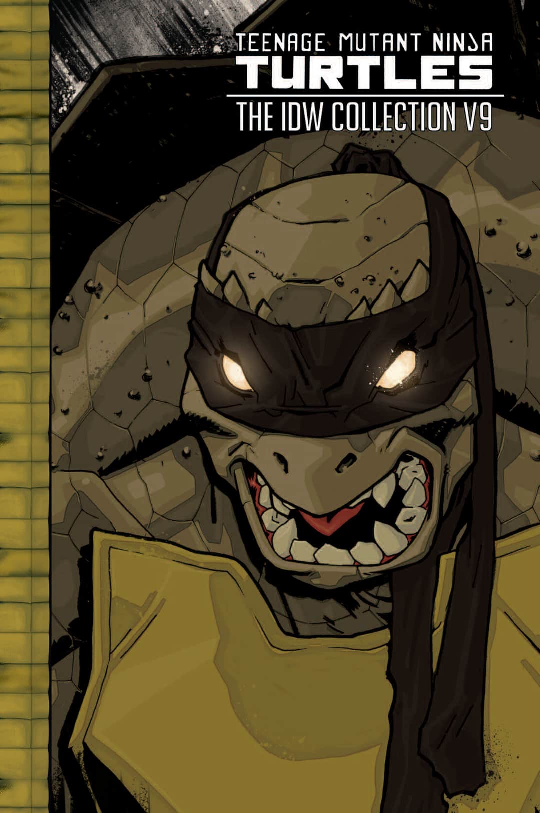 TMNT IDW Collection Cover
