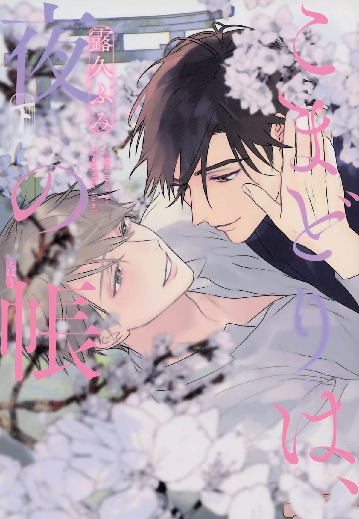 Im Schleier der Nacht Cover