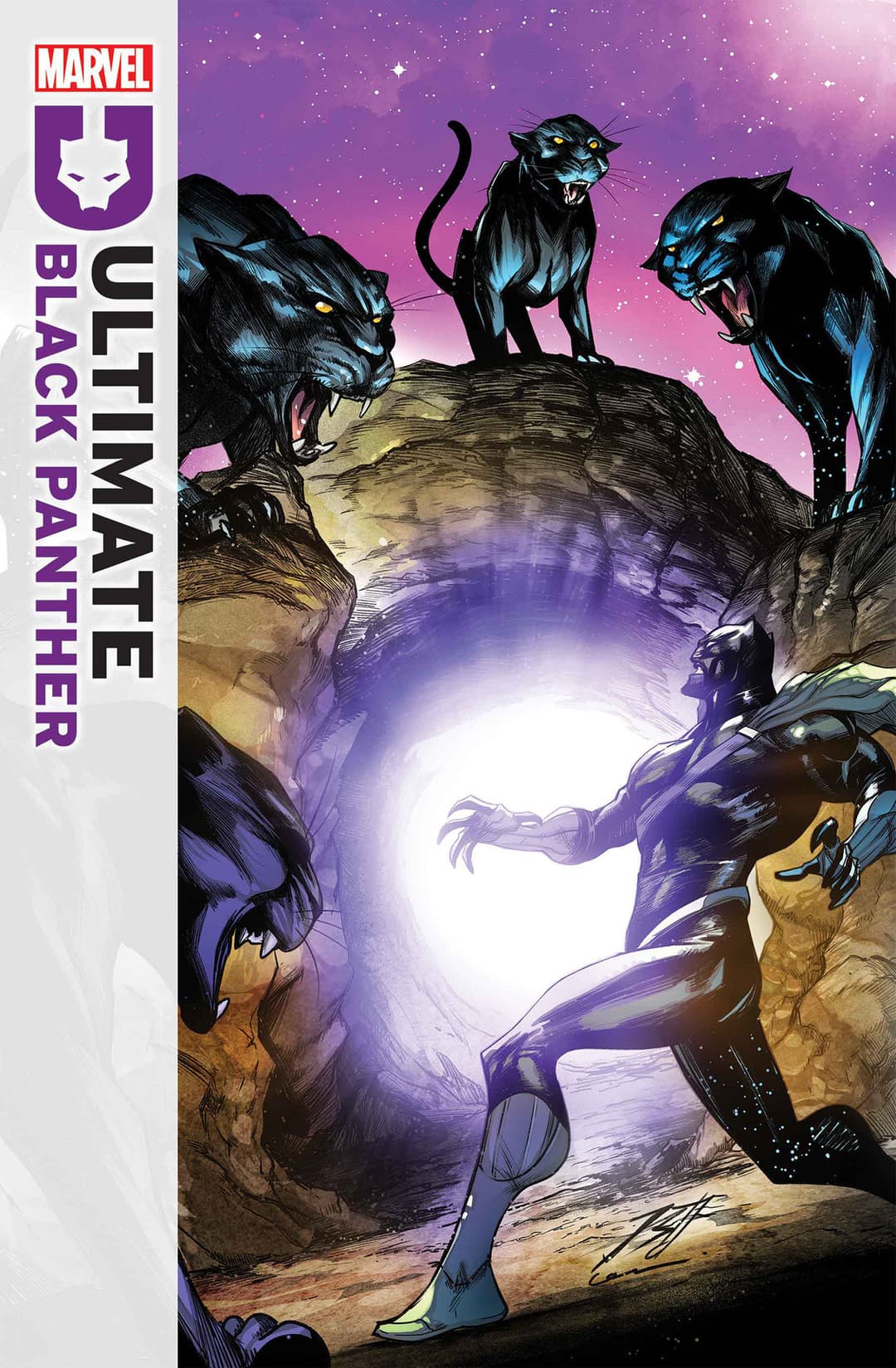 Coverbild von ULTIMATE BLACK PANTHER