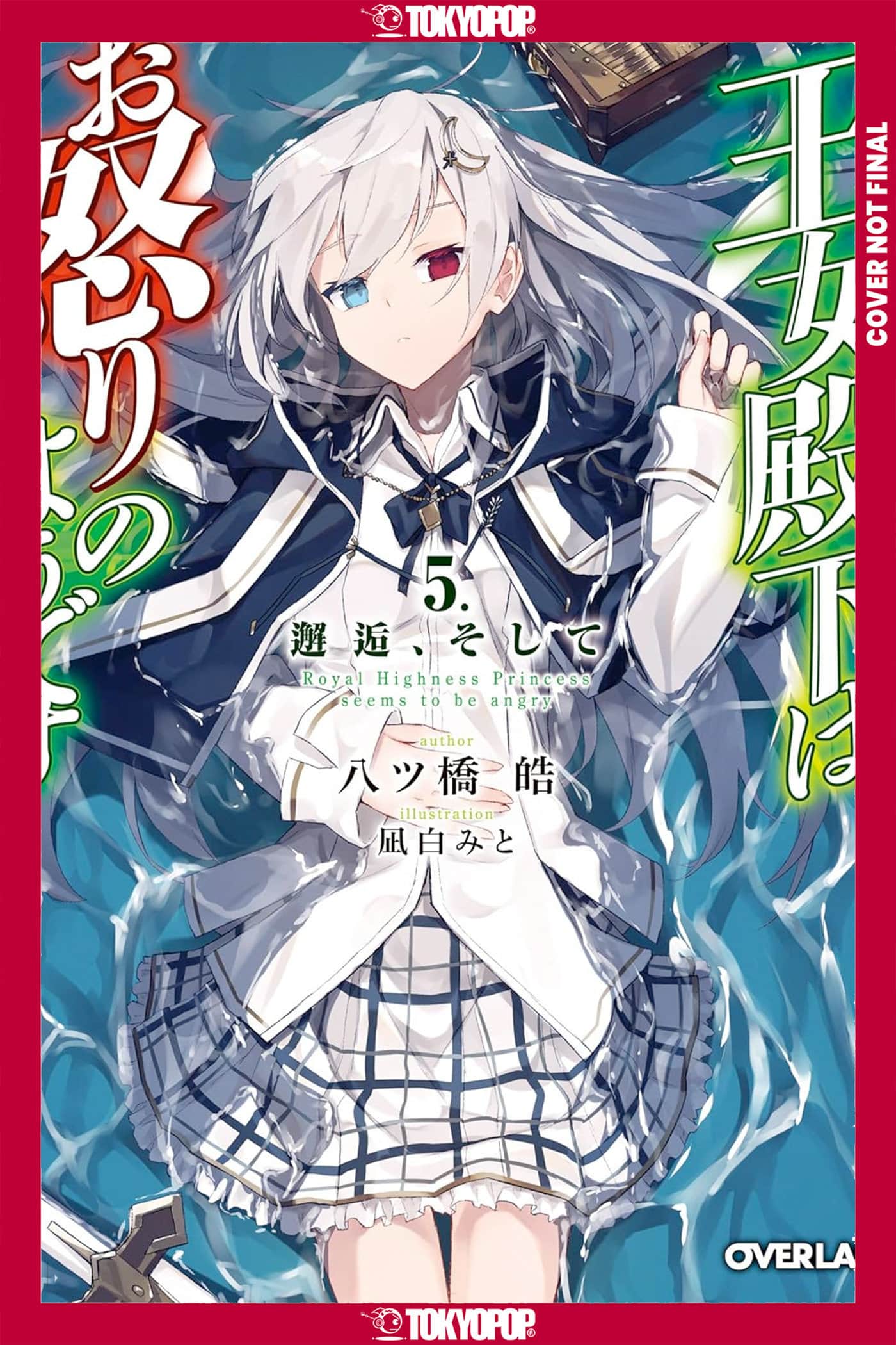 Her Royal Highness Seems to Be Angry, Volume 5 (Light Novel) Cover