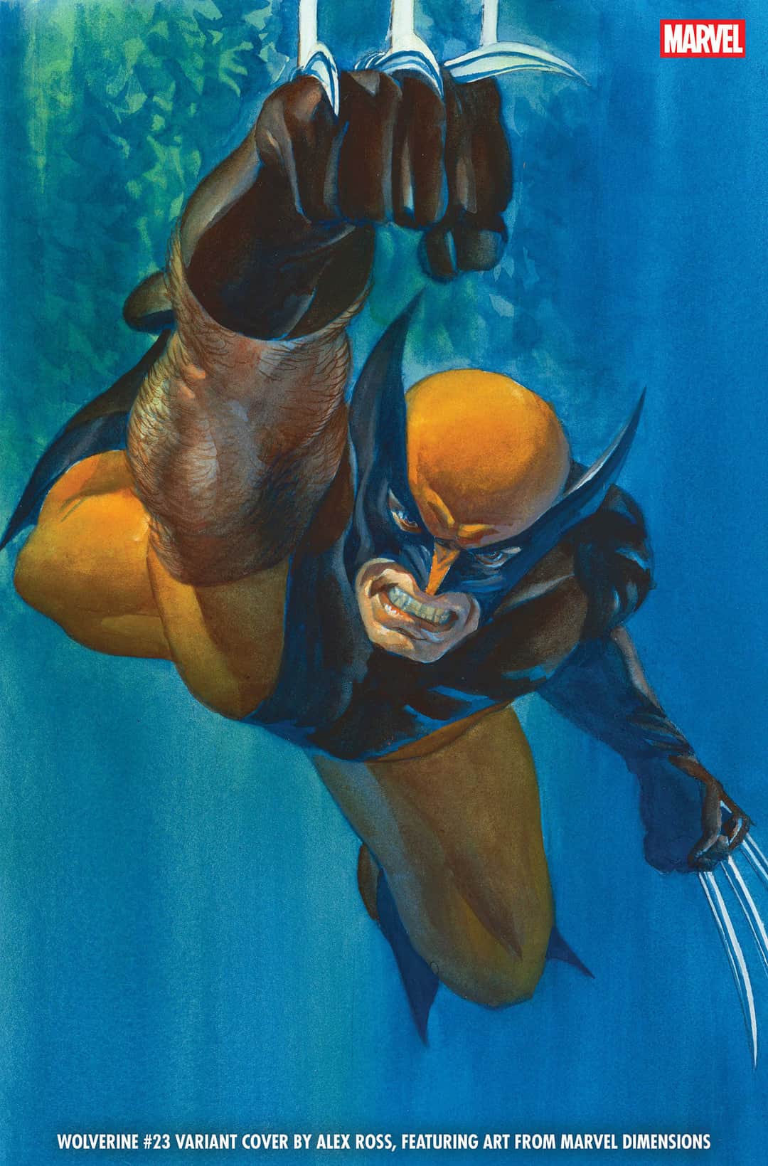 ALEX ROSS MARVEL DIMENSIONS VARIANT