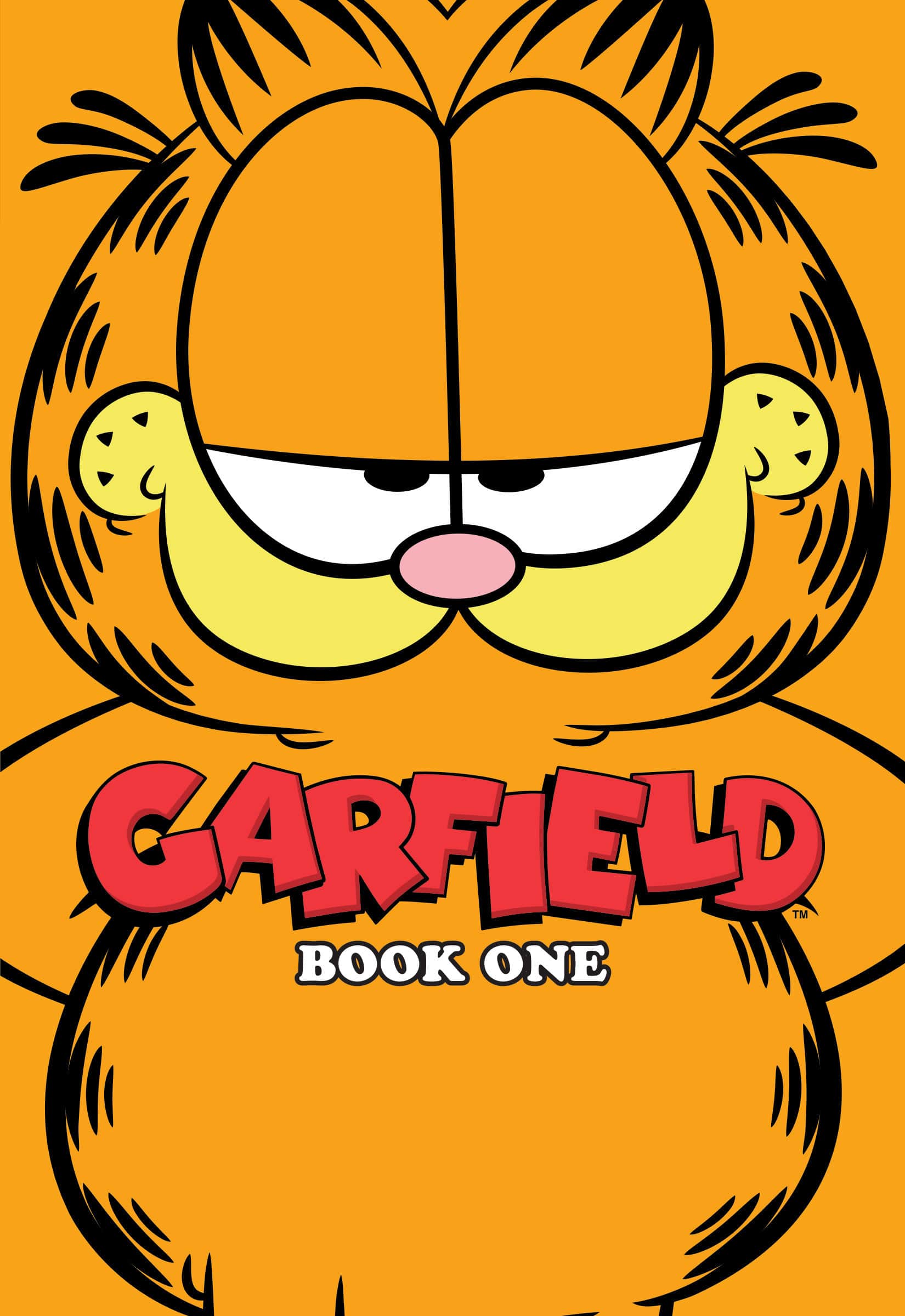 Garfield Cover