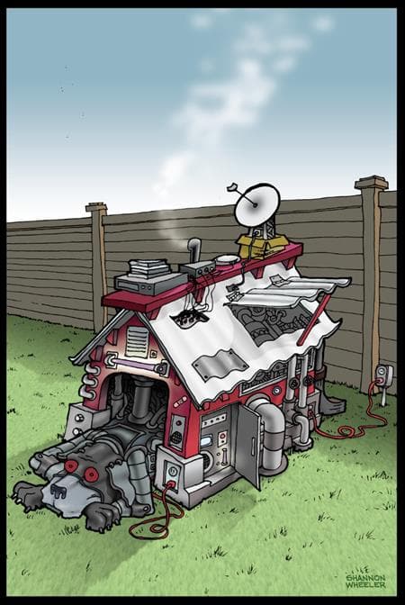 Cover für Death Dog