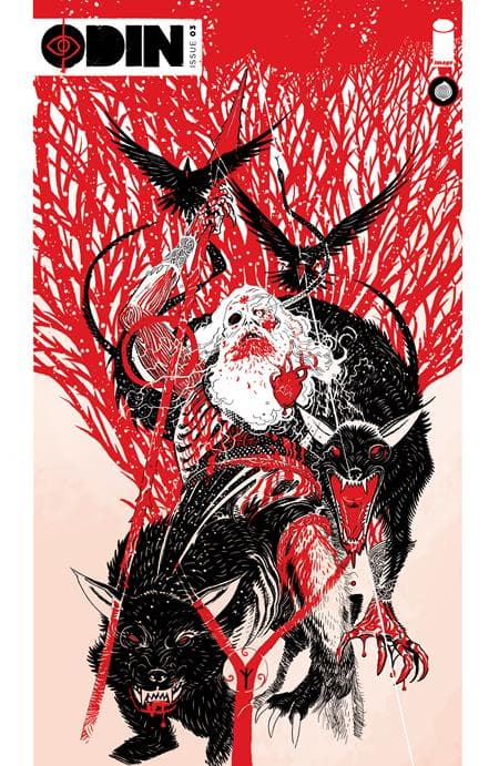 Cover für Odin