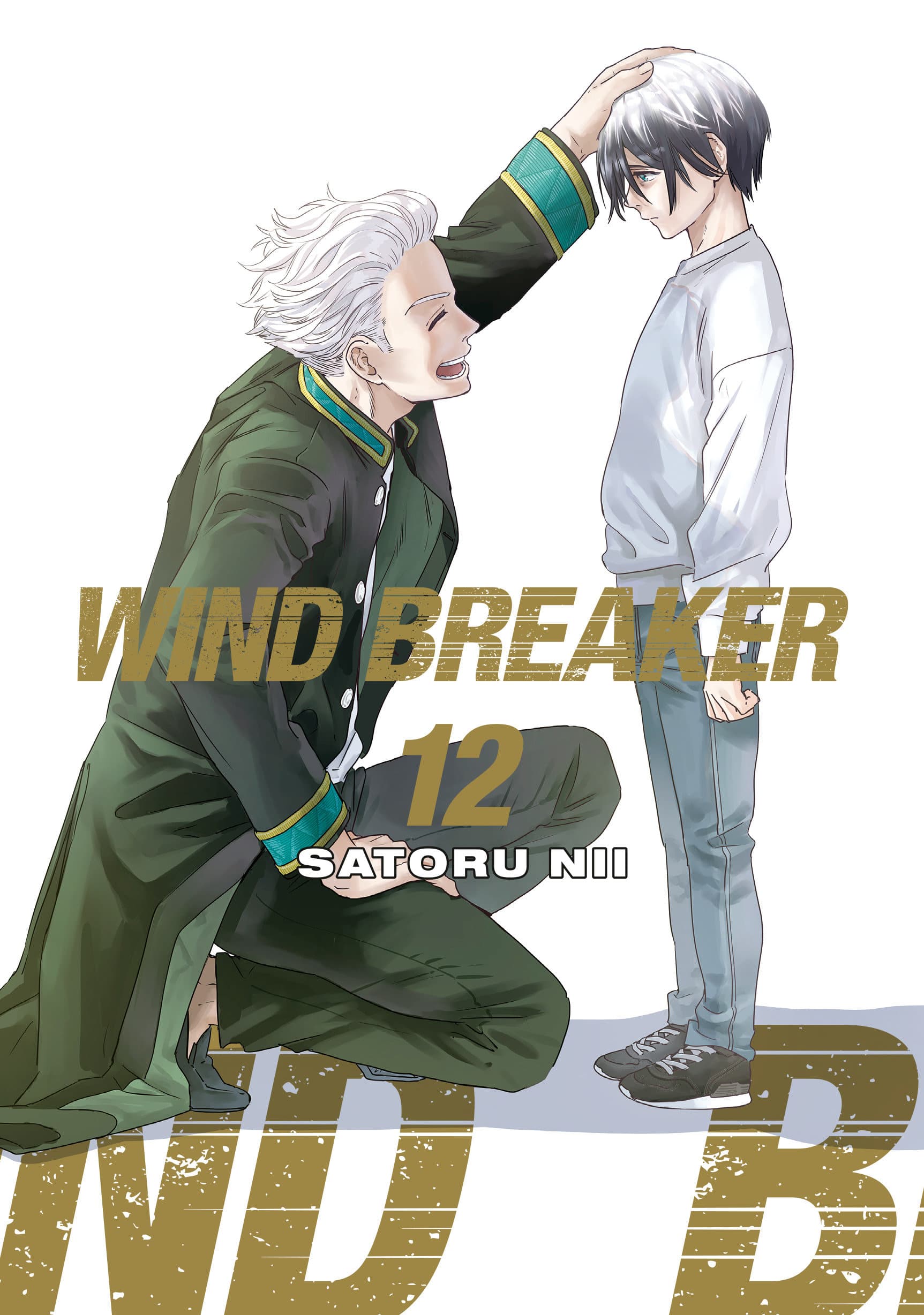 Cover für WIND BREAKER