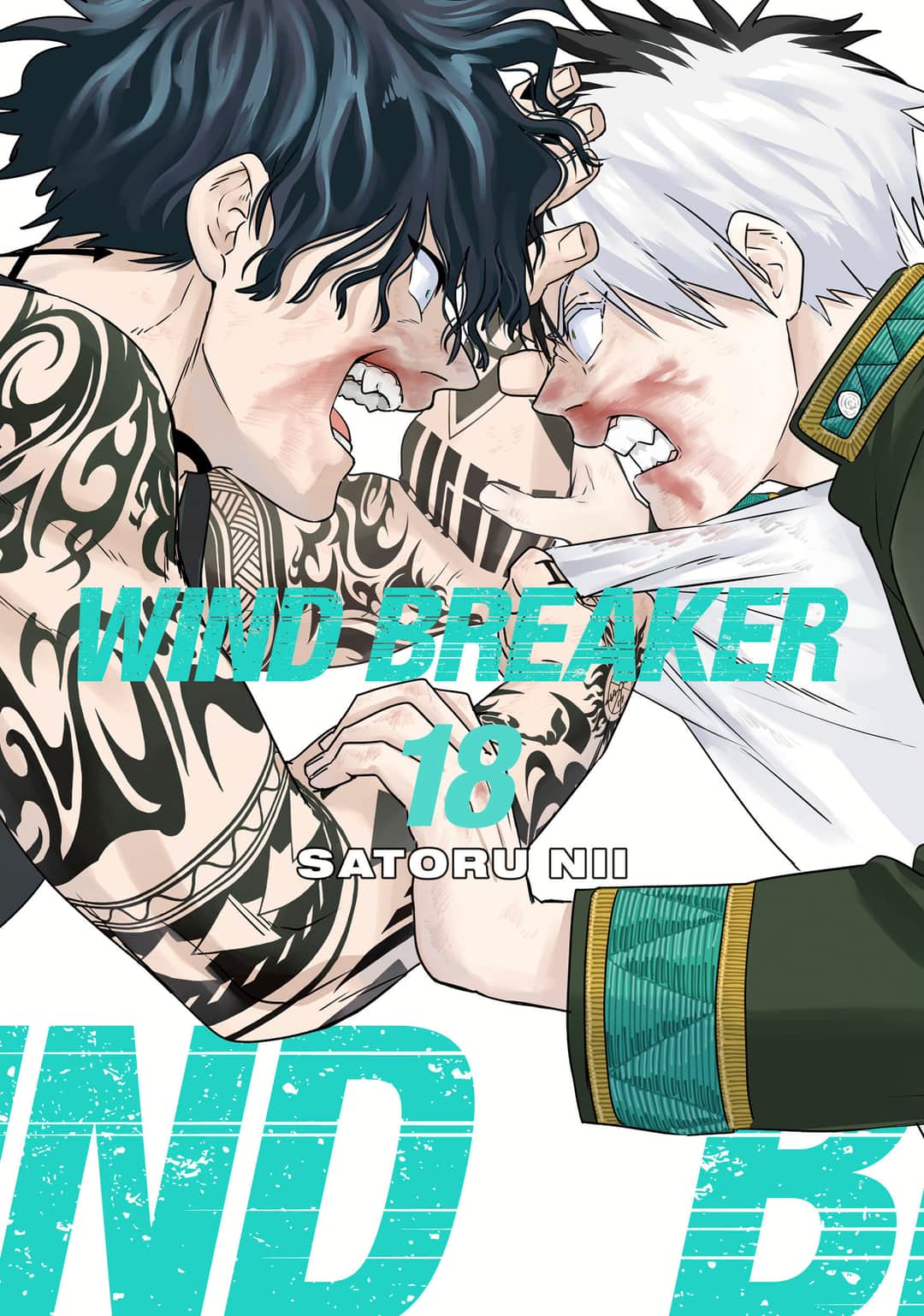 WIND BREAKER Cover