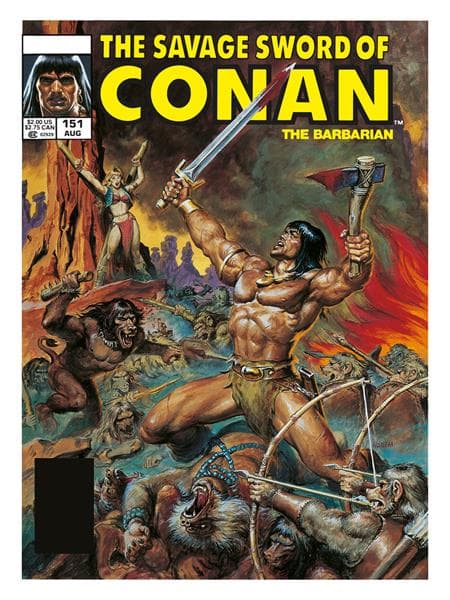 Cover für SAVAGE SWORD OF CONAN THE ORIGINAL COMICS OMNIBUS HC VOL 11 DIRECT MARKET EDITION DOUG BEEKMAN CVR (MR)