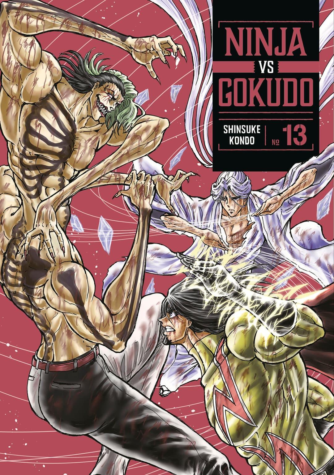 Cover für Ninja Vs. Gokudo