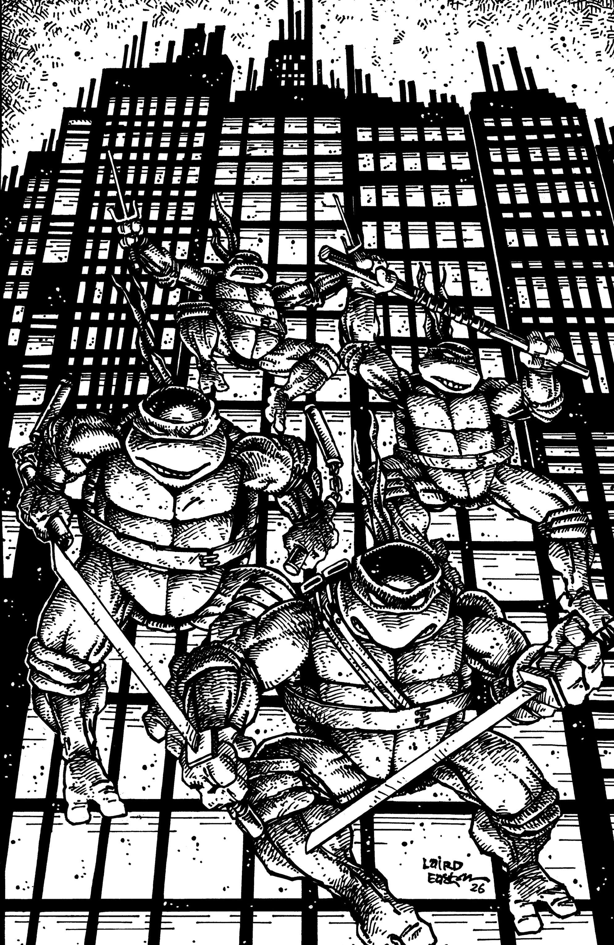 Cover für Teenage Mutant Ninja Turtles (2024)