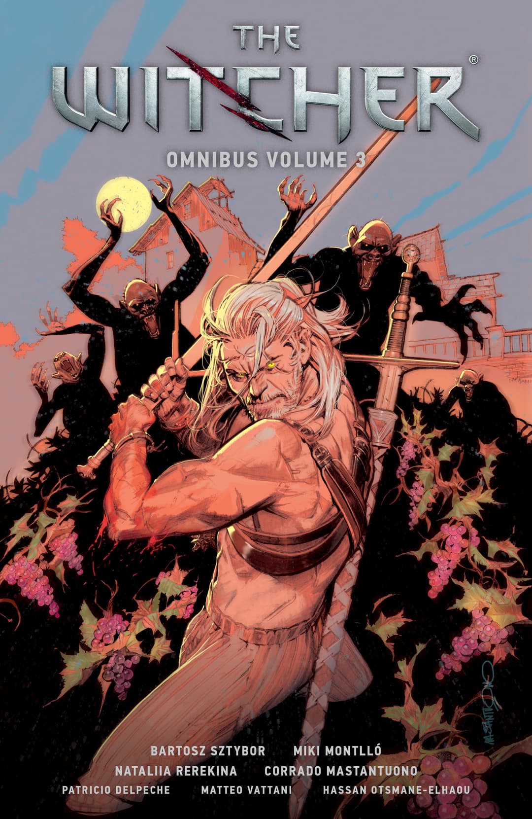 Cover für The Witcher Omnibus Volume 3