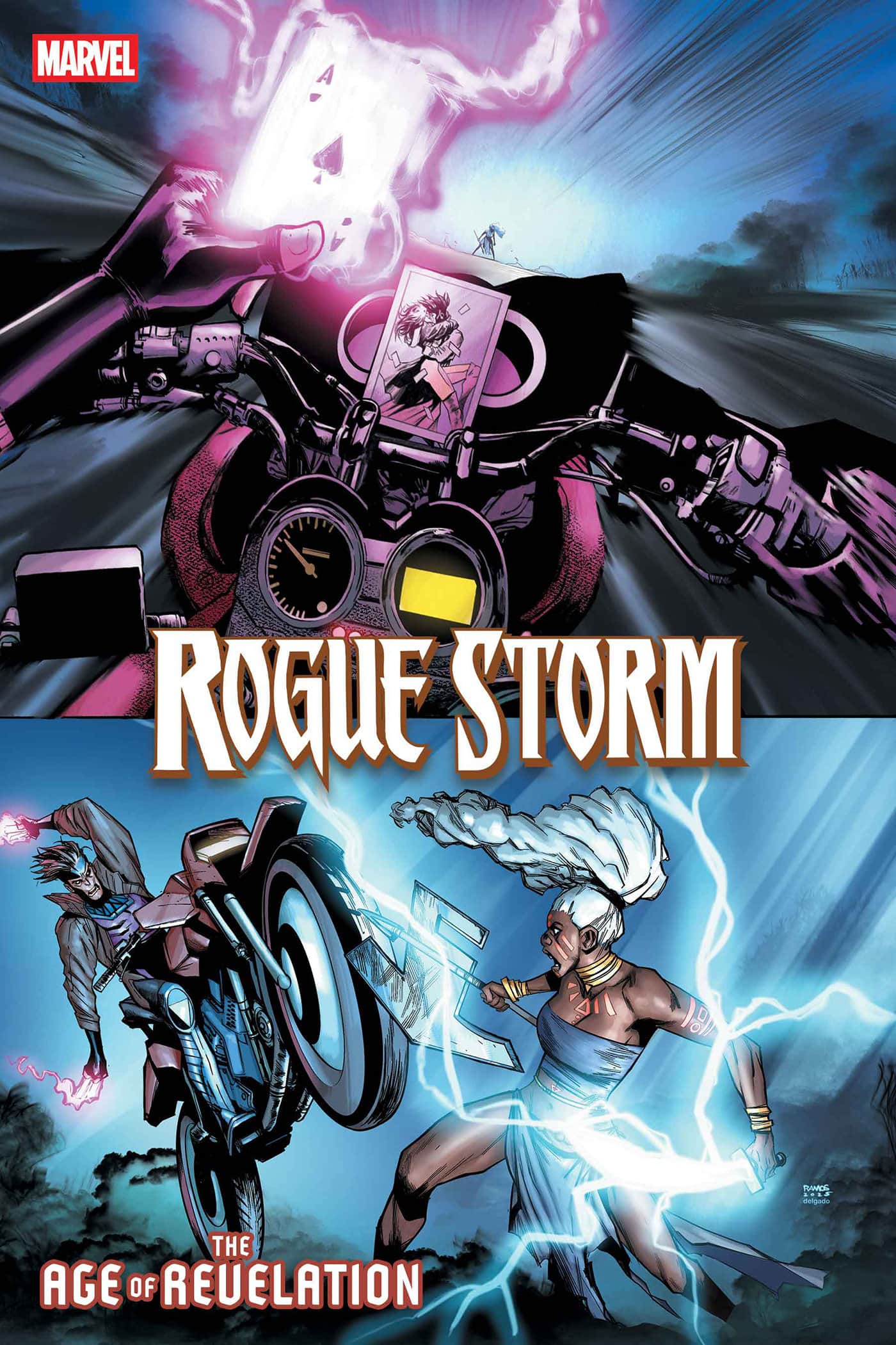 ROGUE STORM Cover