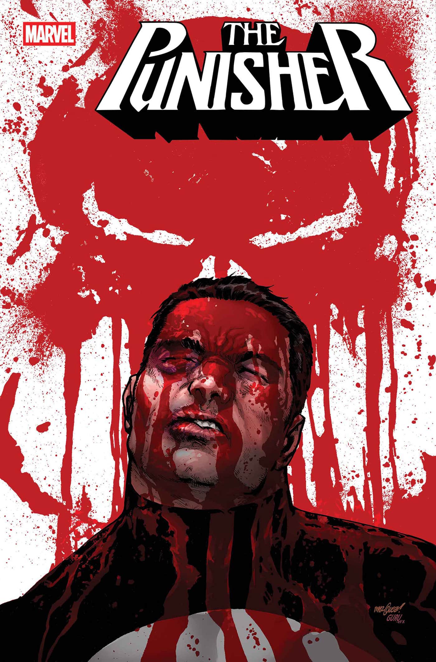 PUNISHER Cover
