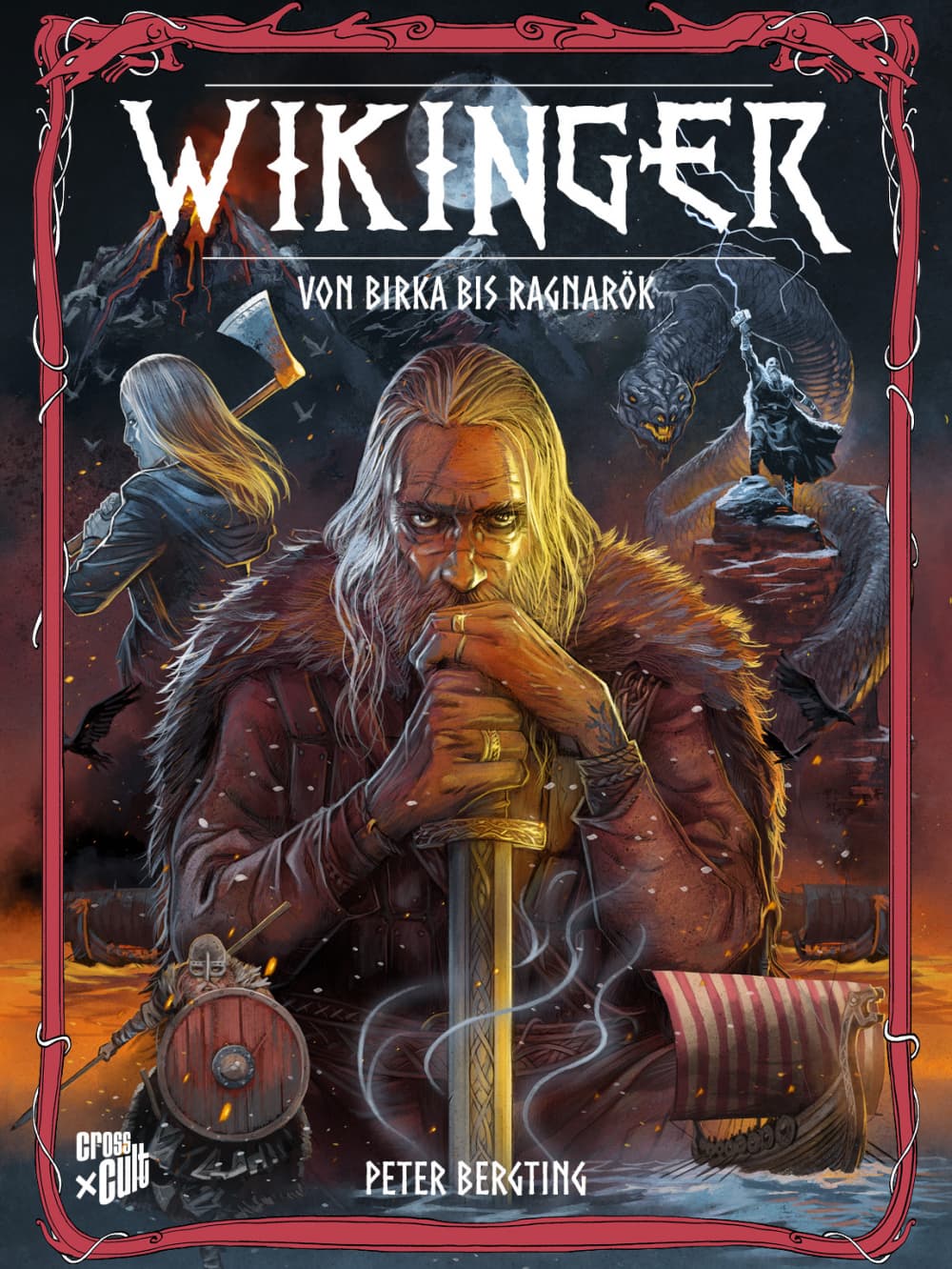 Cover für Wikinger